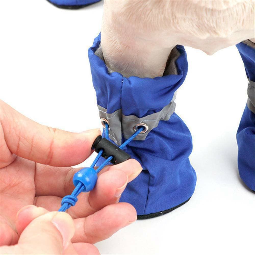 Zapatos y calcetines respirables para perro todo año