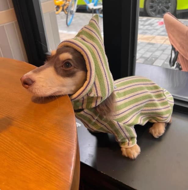 Chaleco acolchado para perros de invierno