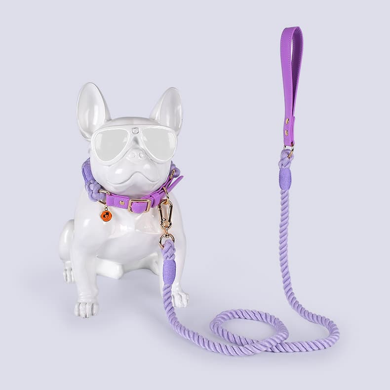 Set de collar y cuerda para perro de cuero y algodón