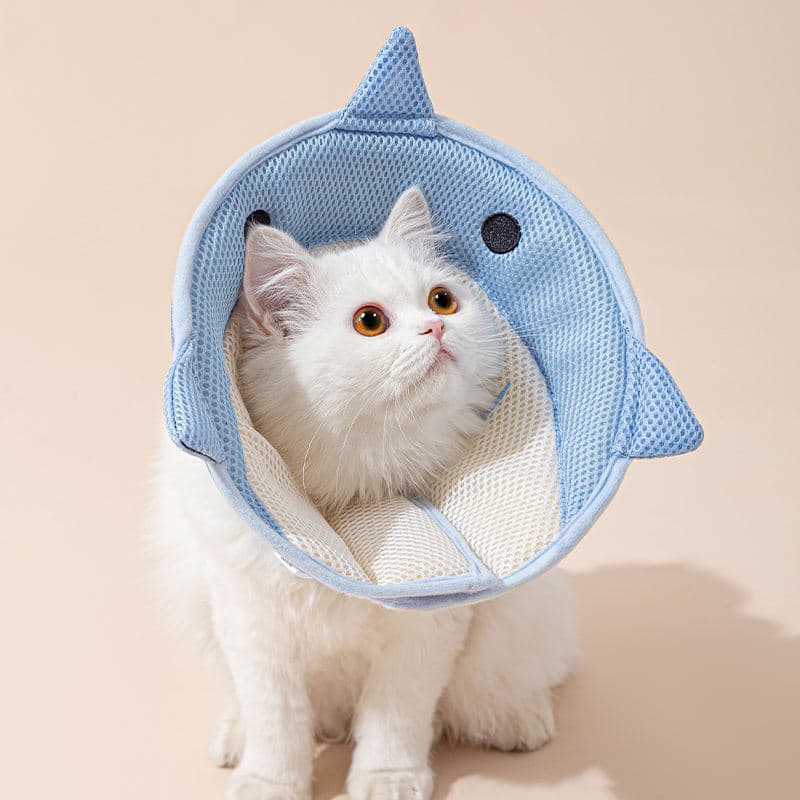 Collar isabelino suave para gatos con forma de tiburón