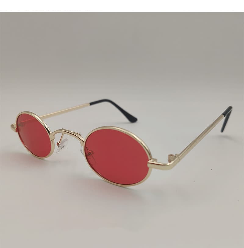 Gafas juguete para perros medianos y grandes