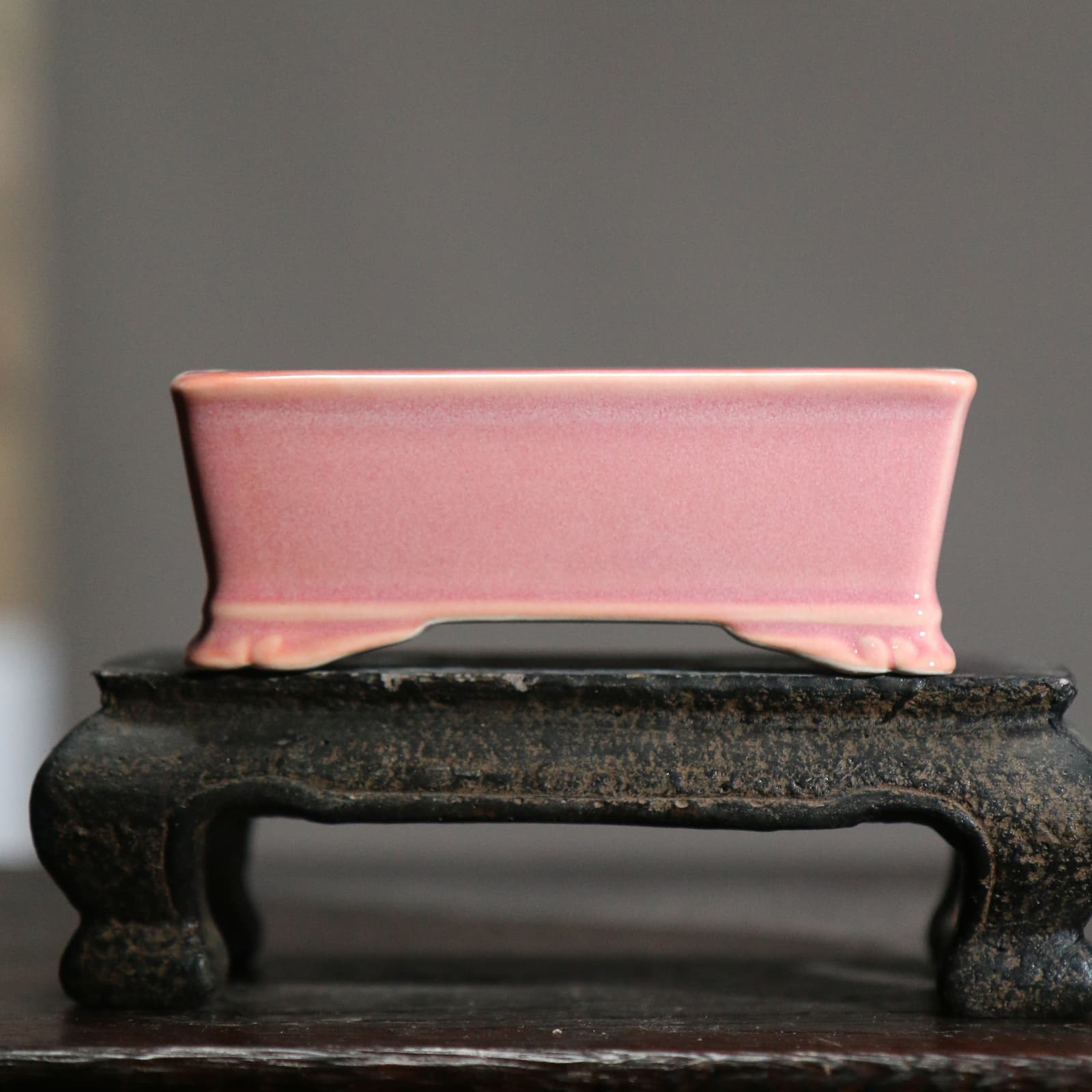 Maceta cerámica rectangular miniatura para plantas