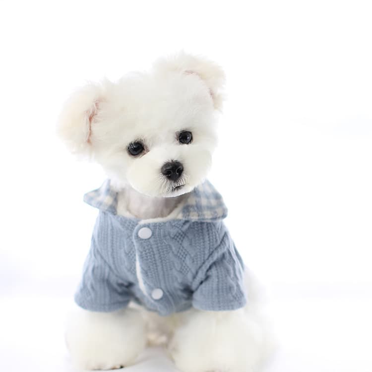 Traje lindo de dos piezas para perro pequeño tipo Bichón