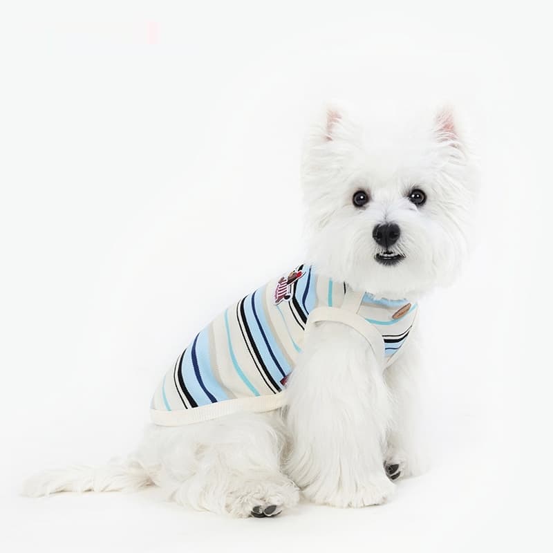 Ropa fresca para perros pequeños y medianos