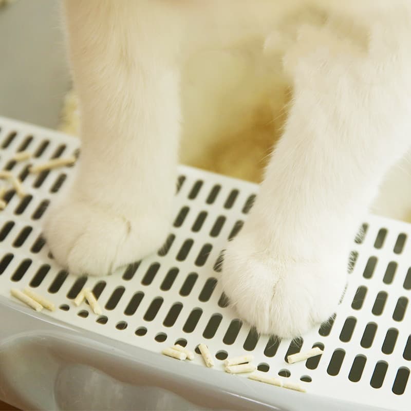 Bandeja de arena para gatos con desodorizante