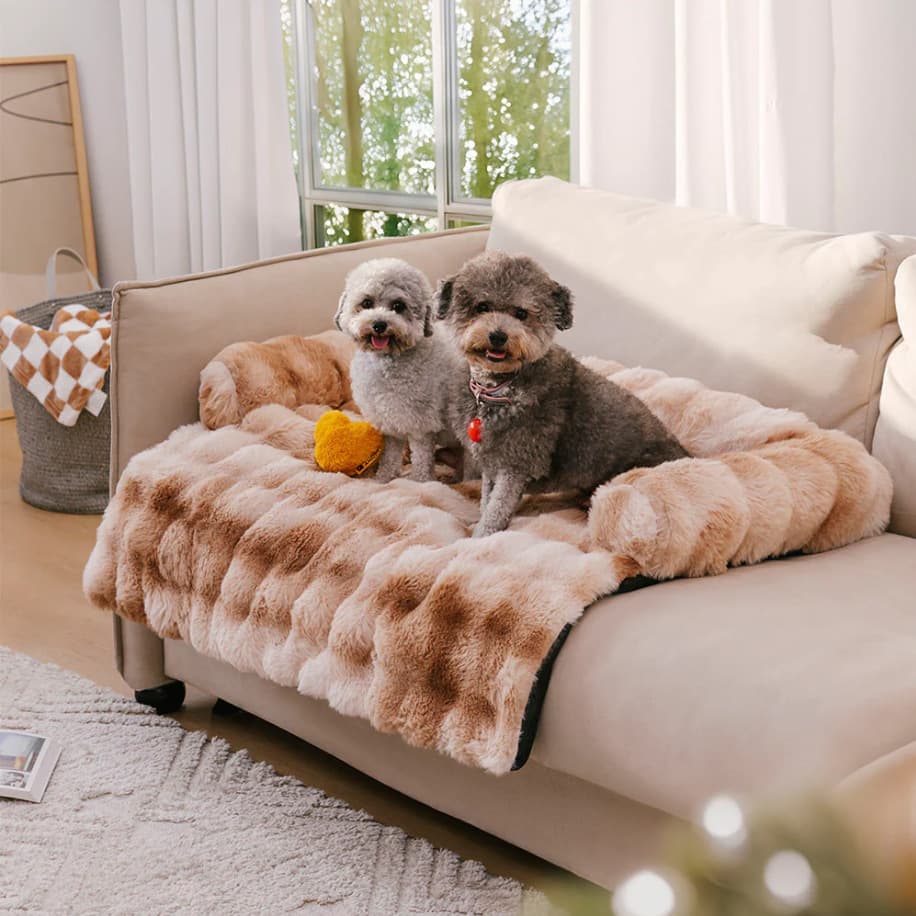 Caseta acolchada desmontable y lavable para mascotas
