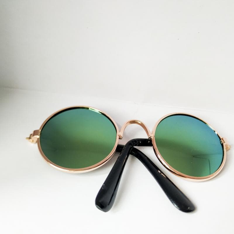 Gafas de sol para gatos con diseño moderno