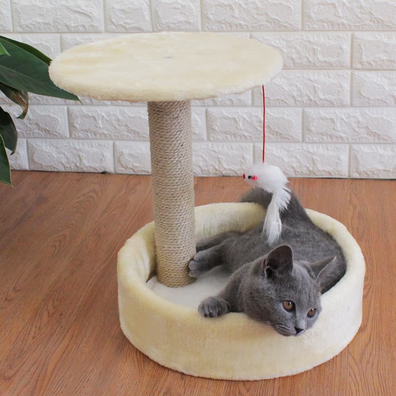 Árbol para gato pequeño con plataforma salto