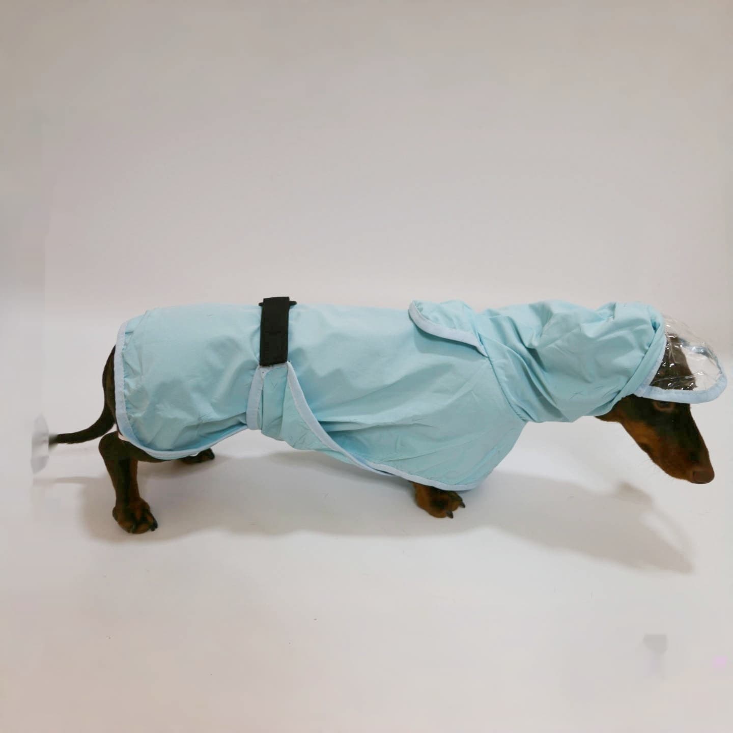 Poncho chubasquero con capucha para perro impermeable