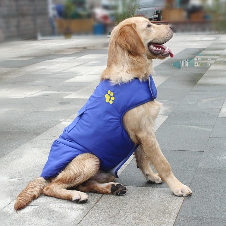 Chaleco impermeable para perros cálido de invierno