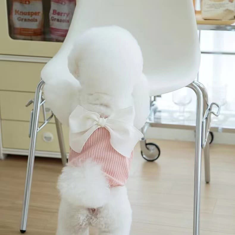 Ropa veraniega de moño para perros