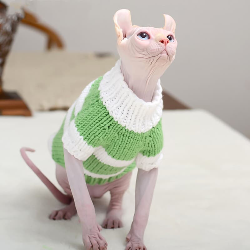 Suéter de lana calentito para gatos sin pelo