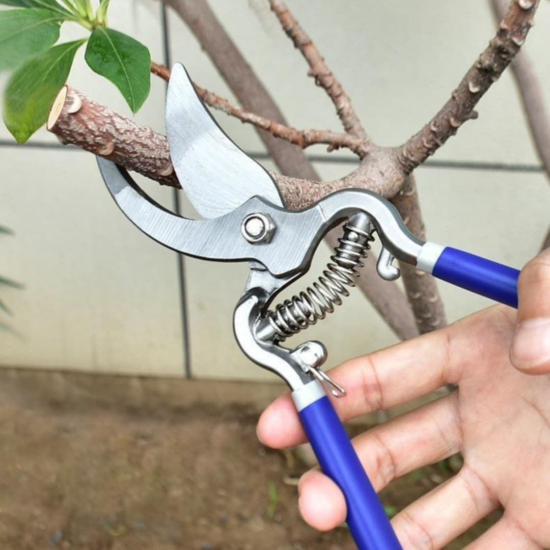 Tijeras de poda para jardín, labor eficiente