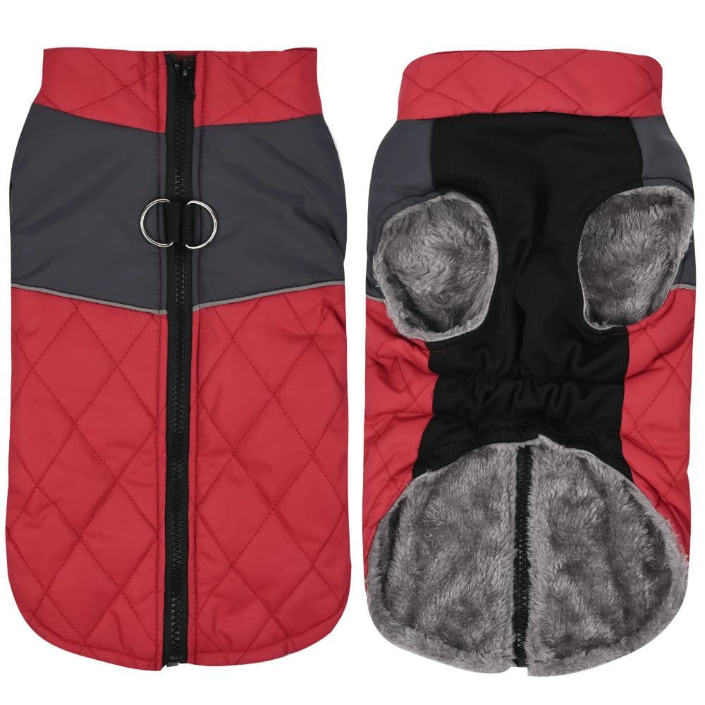 Ropa impermeable para perros, otoño e invierno