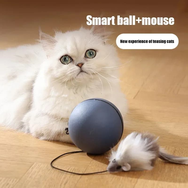 Juguete interactivo automático para gatos y perros