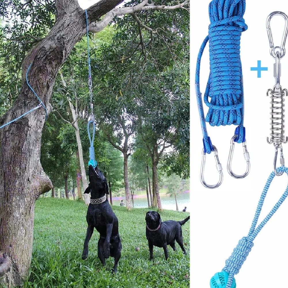 Juguete colgante para perro con resorte