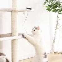 Juguete electrónico interactivo para gatos