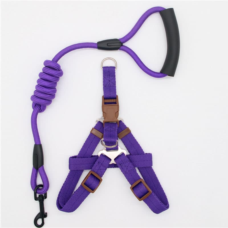 Correa de nylon para perro con múltiples estilos