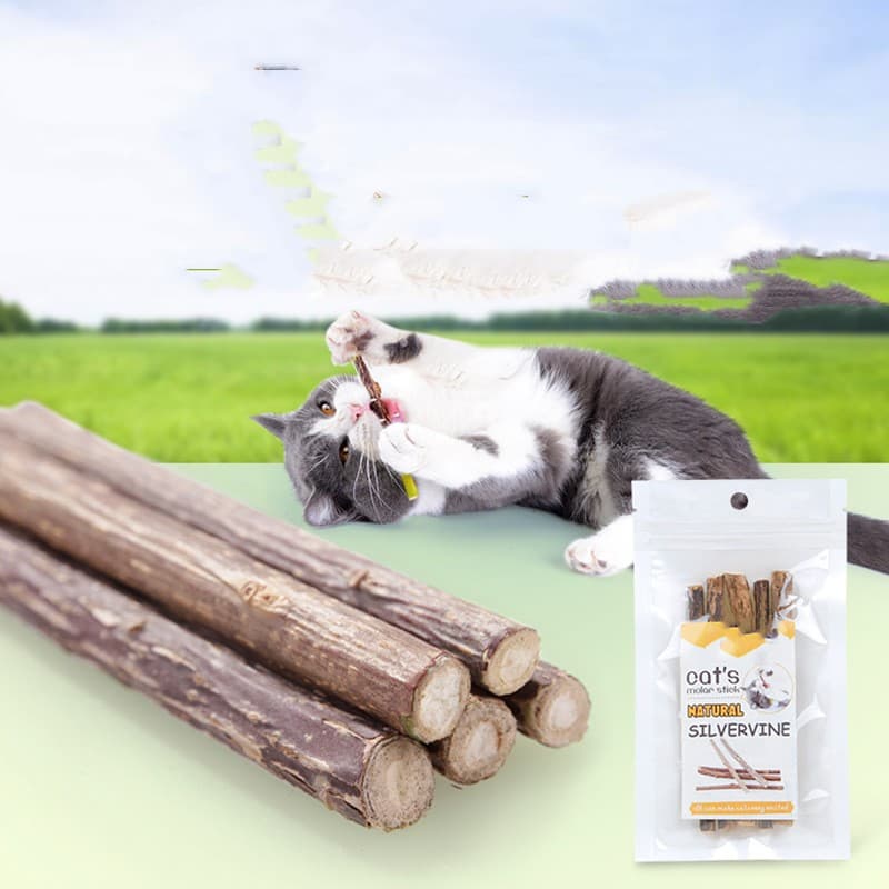 Varilla de molar para gatos limpieza dental