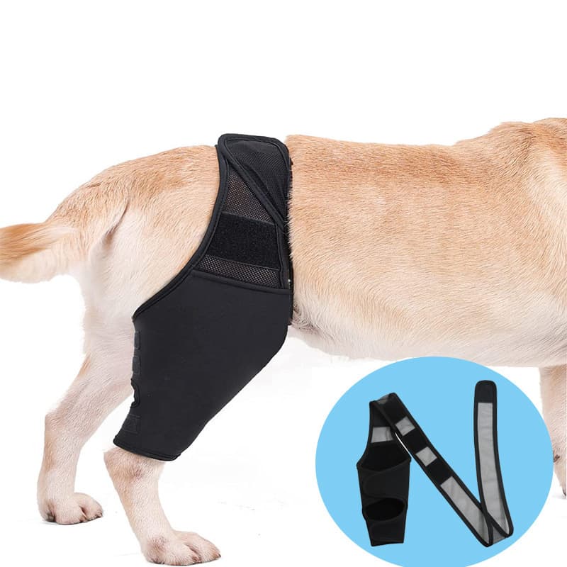 Protector rodilleras perros articulaciones, correa ajustable