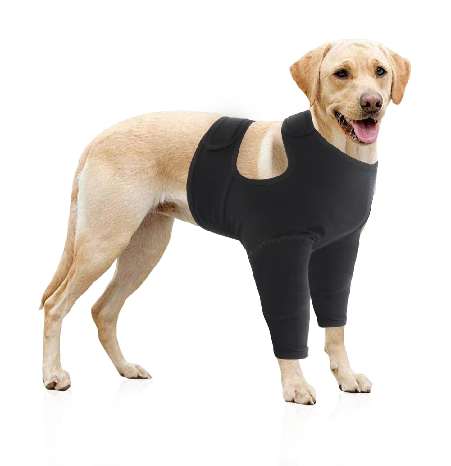 Protector de patas delanteras para perros estilo británico