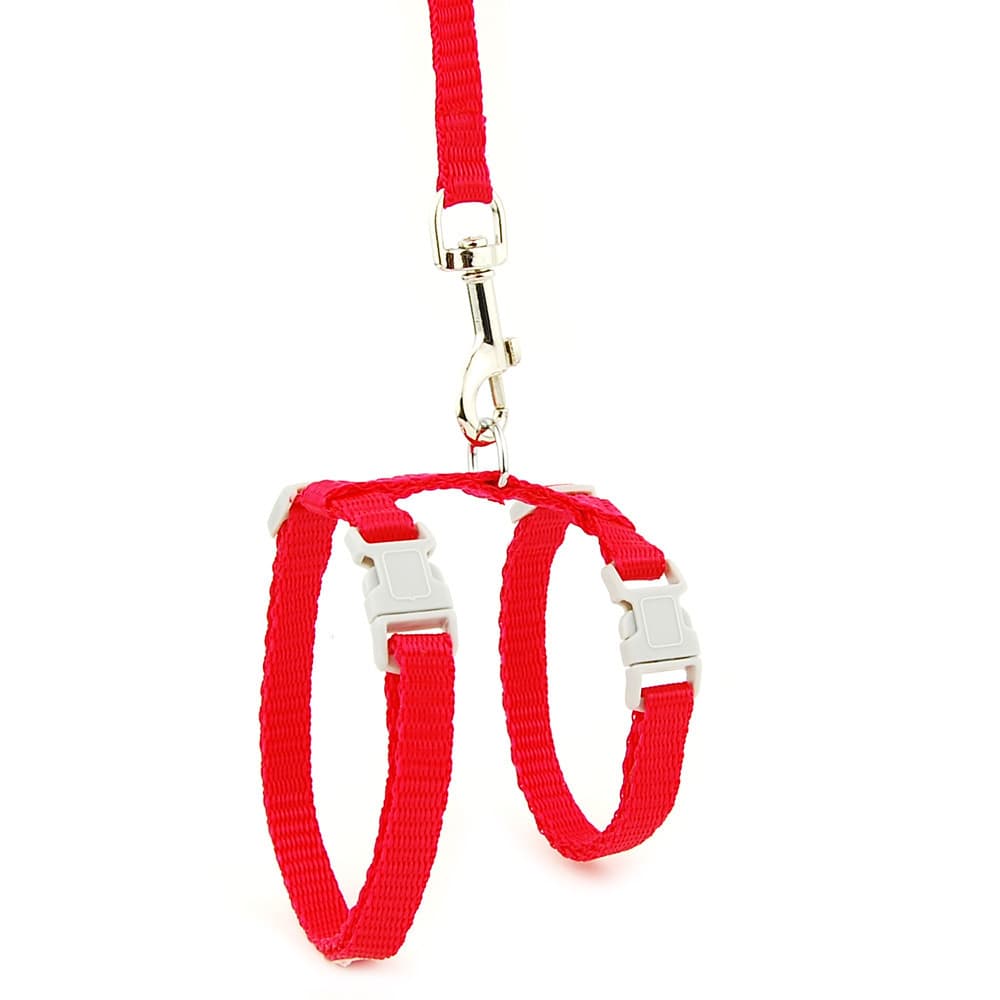 Correa de tracción i-shaped para gatos y perros
