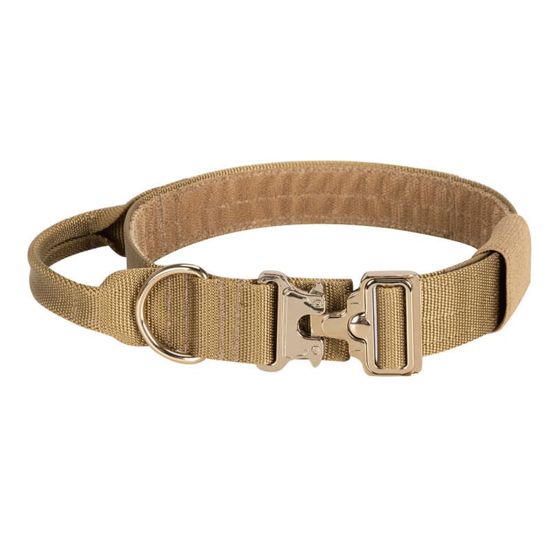 Correa de paseo para perros grandes con collar ajustable