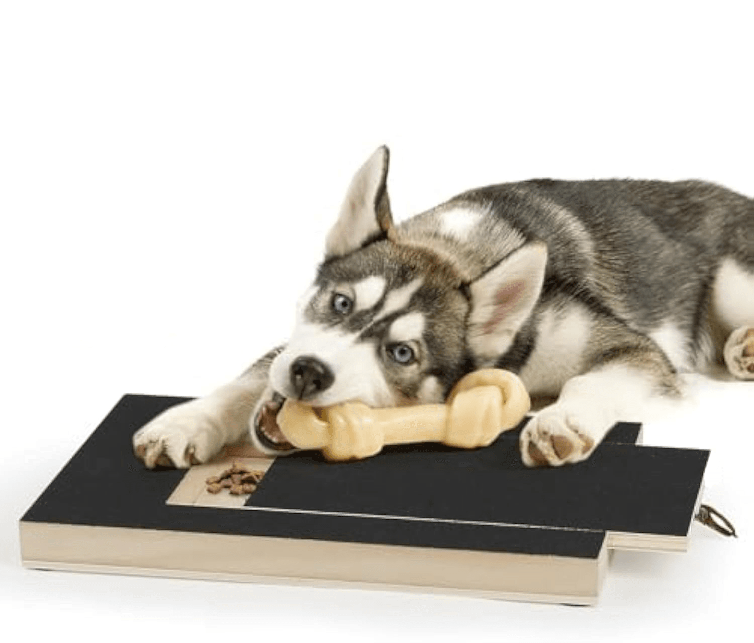 Tabla rascadora para uñas de perro con cajón de premios