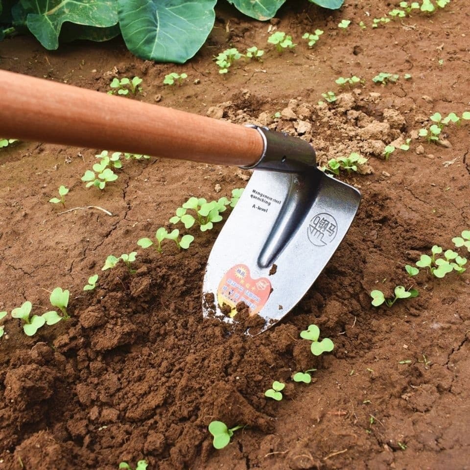 Azada puntiaguda de acero para agricultura y deshierbe