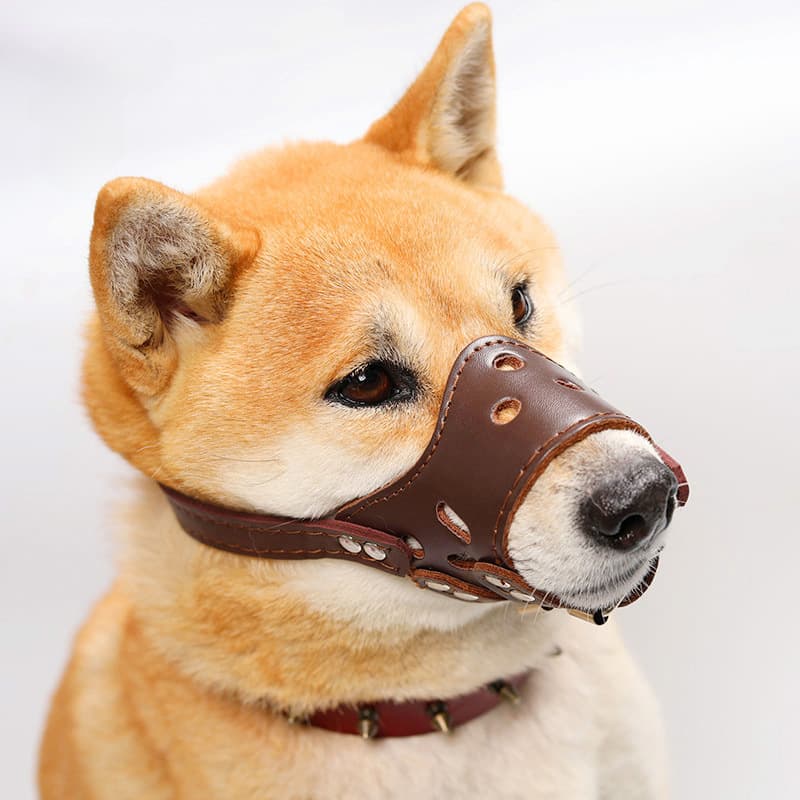 Bozal antiladridos para perros pequeño mediano y grande