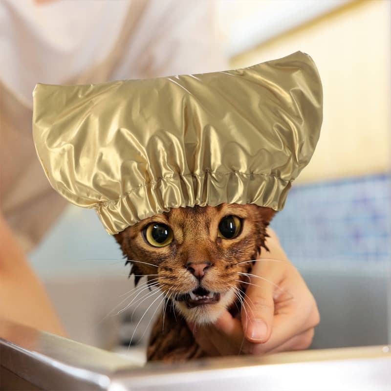Gorro de baño ajustable e impermeable para gatos y perros