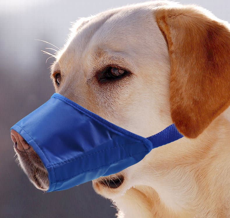 Bozal anti-mordida impermeable para perros