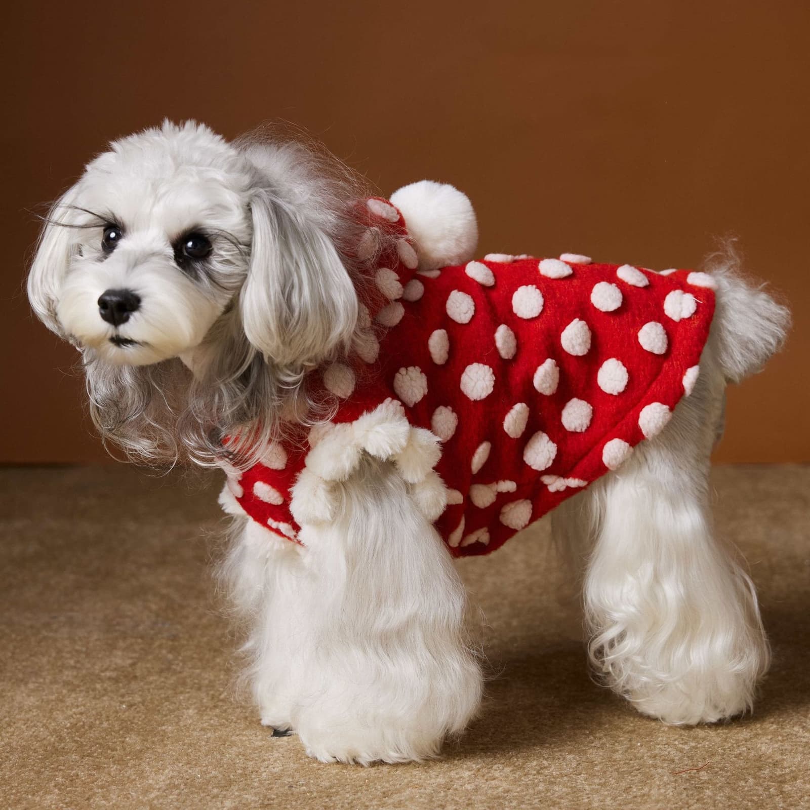 Abrigo capucha lunares rojo para mascota año nuevo