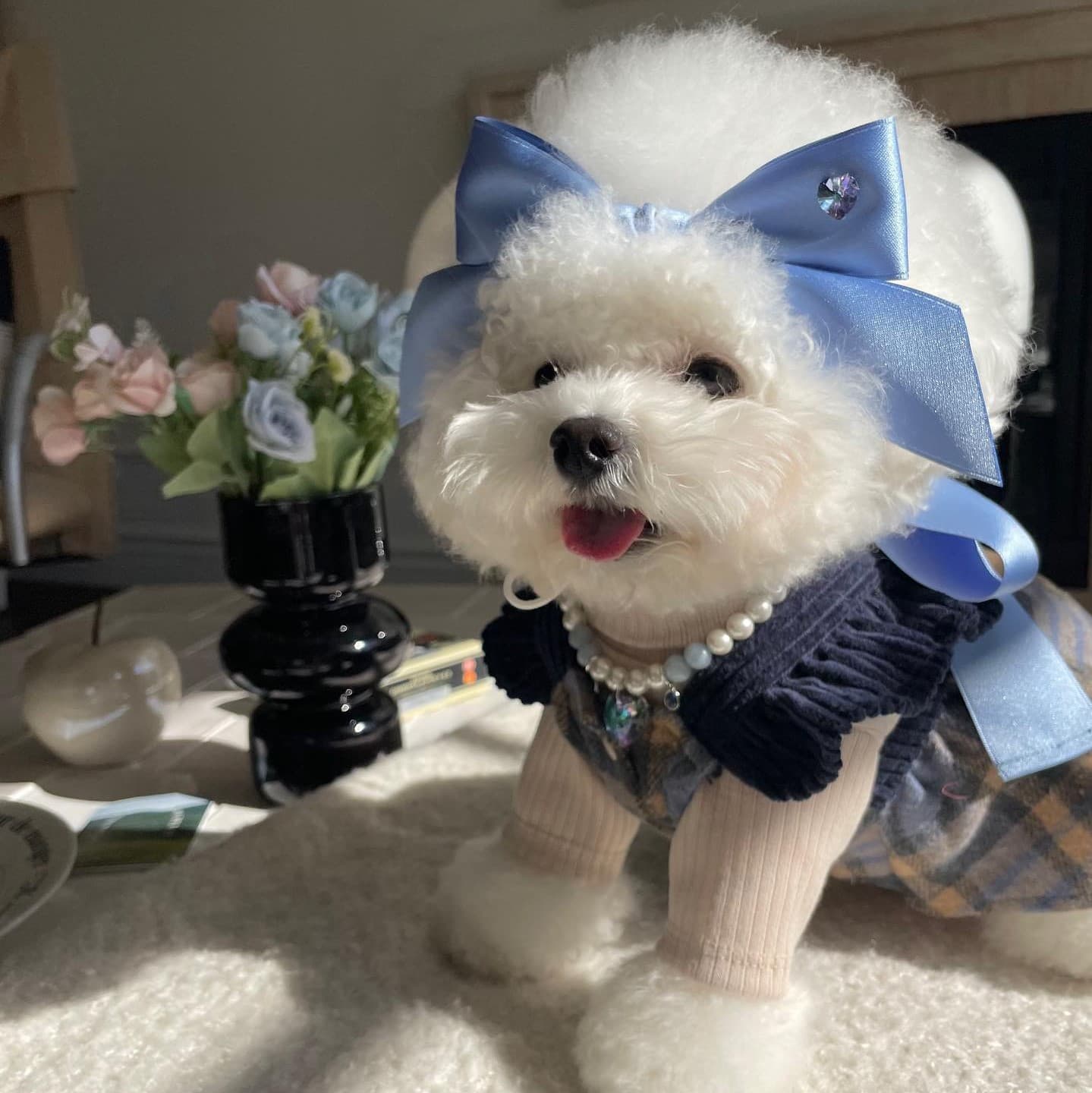Diadema con moño ajustable tipo princesa para mascotas