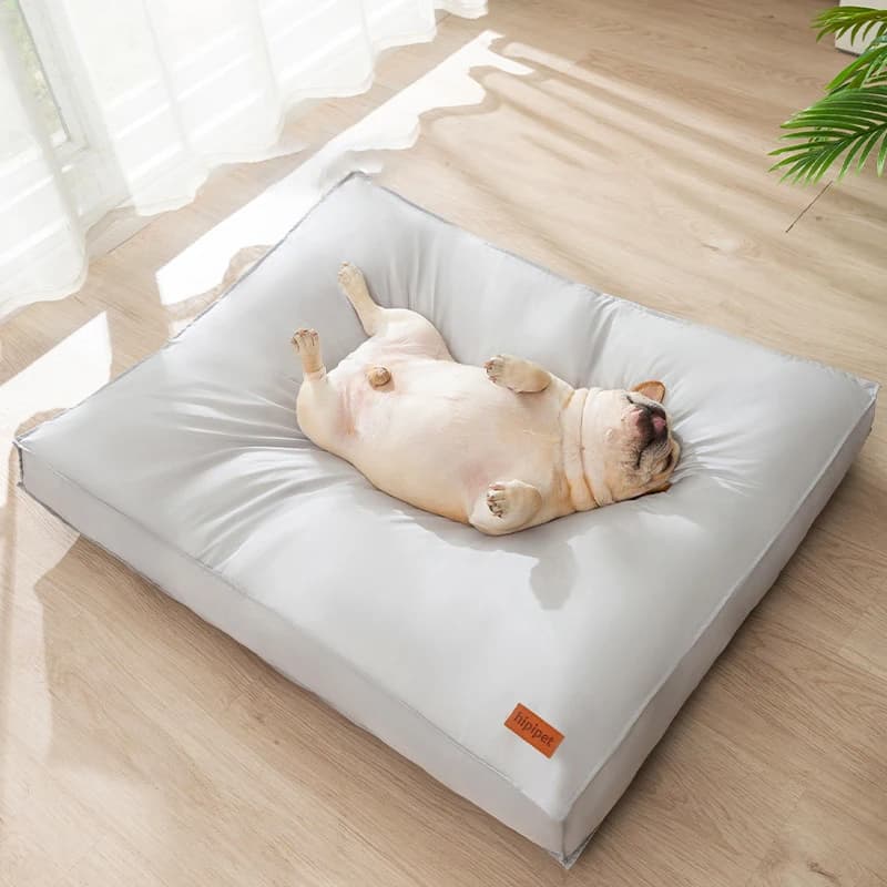 Cama impermeable para mascotas con algodón PP