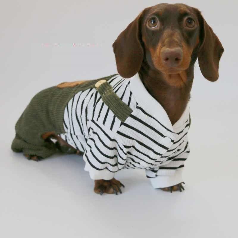 Pantalón de pana de dos piezas para perros pequeños