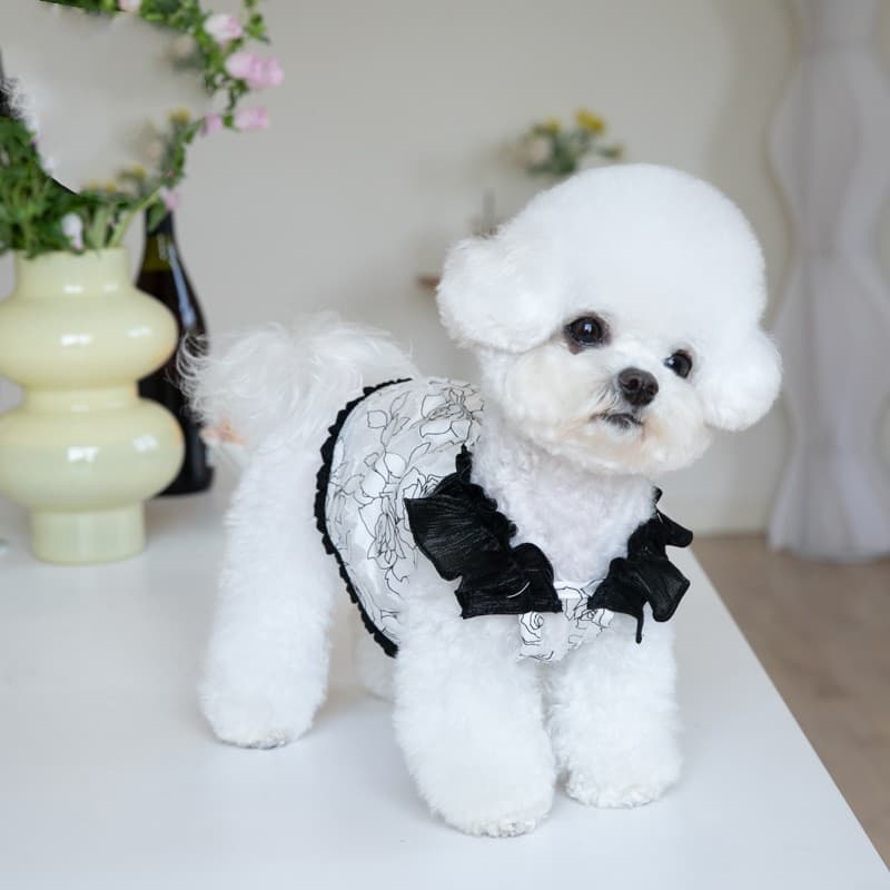 Falda de chifón elegante para mascotas