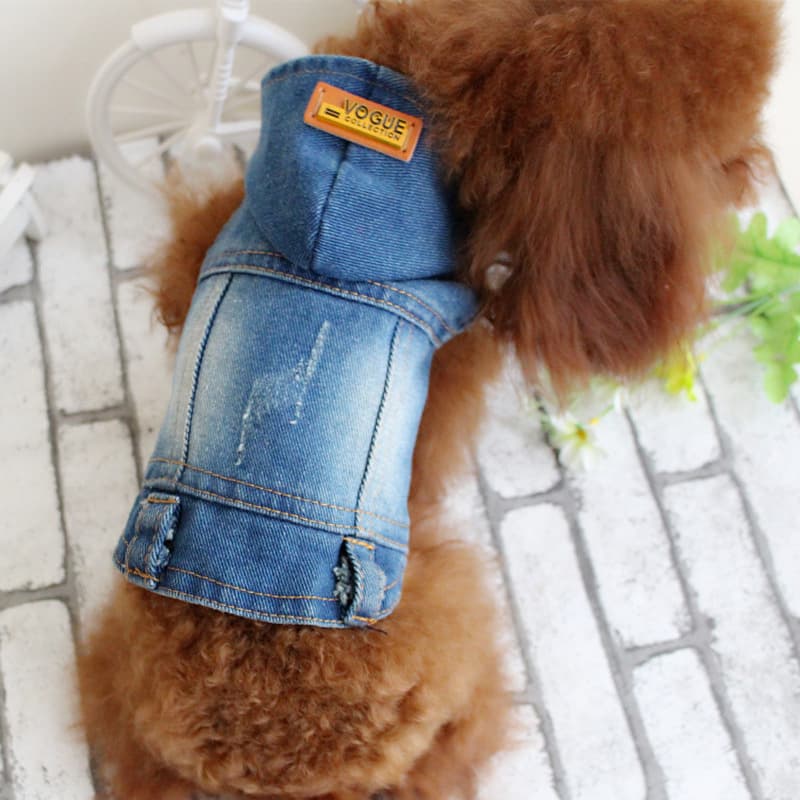 Chaleco denim con capucha estilo vaquero para mascotas