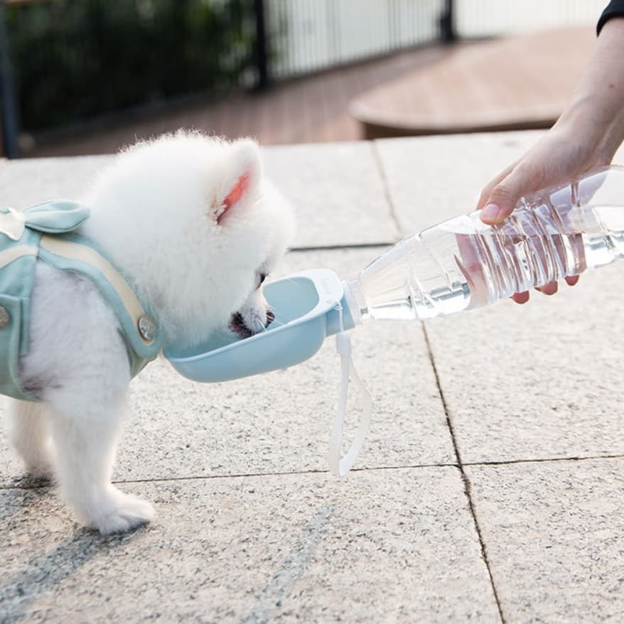 Botella portátil con bebedero para mascotas