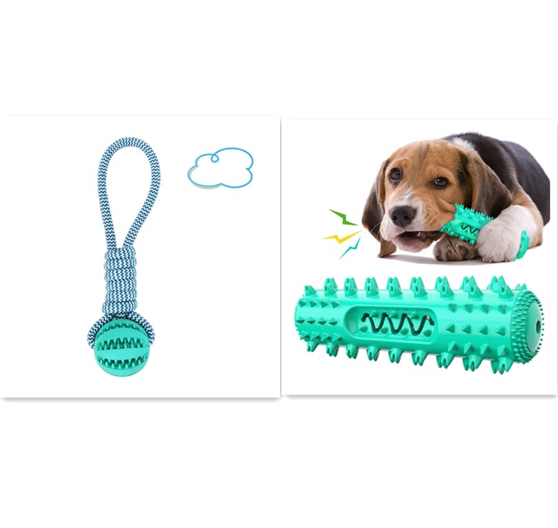 Pelota interactiva con cuerda de cuidado dental para perros