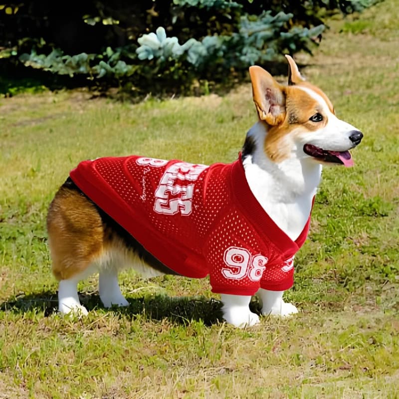 Uniforme protección solar perro uso exterior