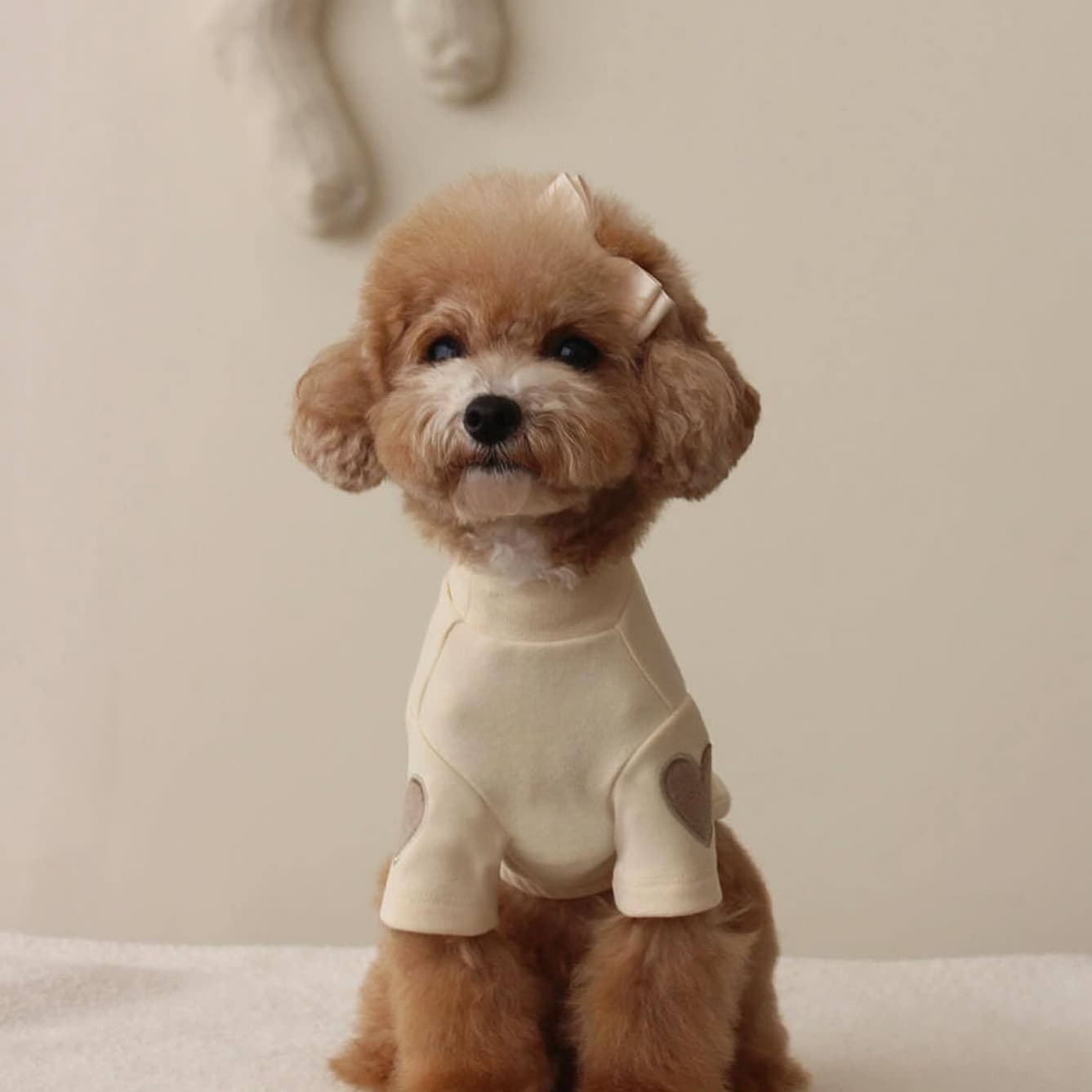 Suéter bordado para perro otoño e invierno