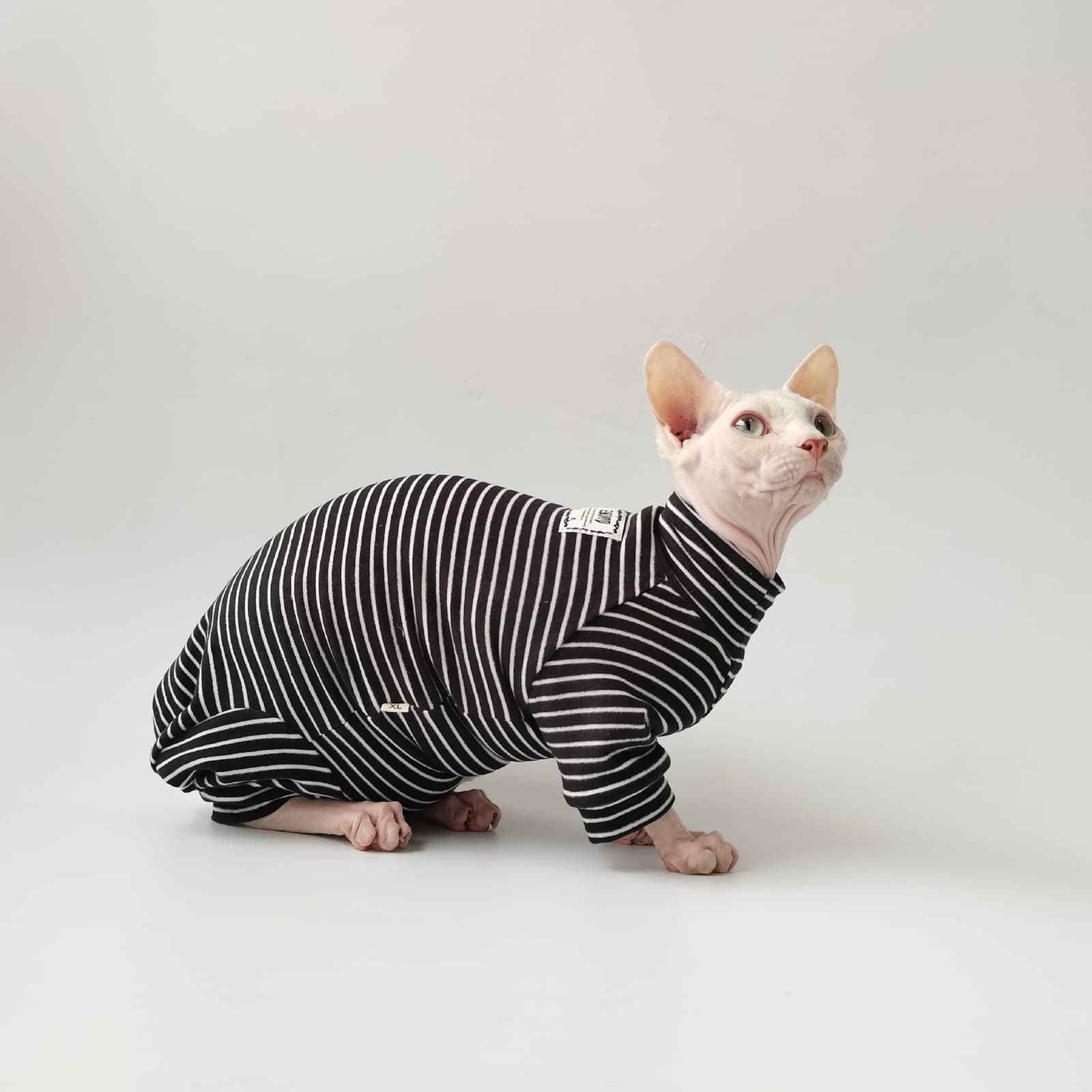 Pijama de gato sin pelo con rayas, gorro y cola