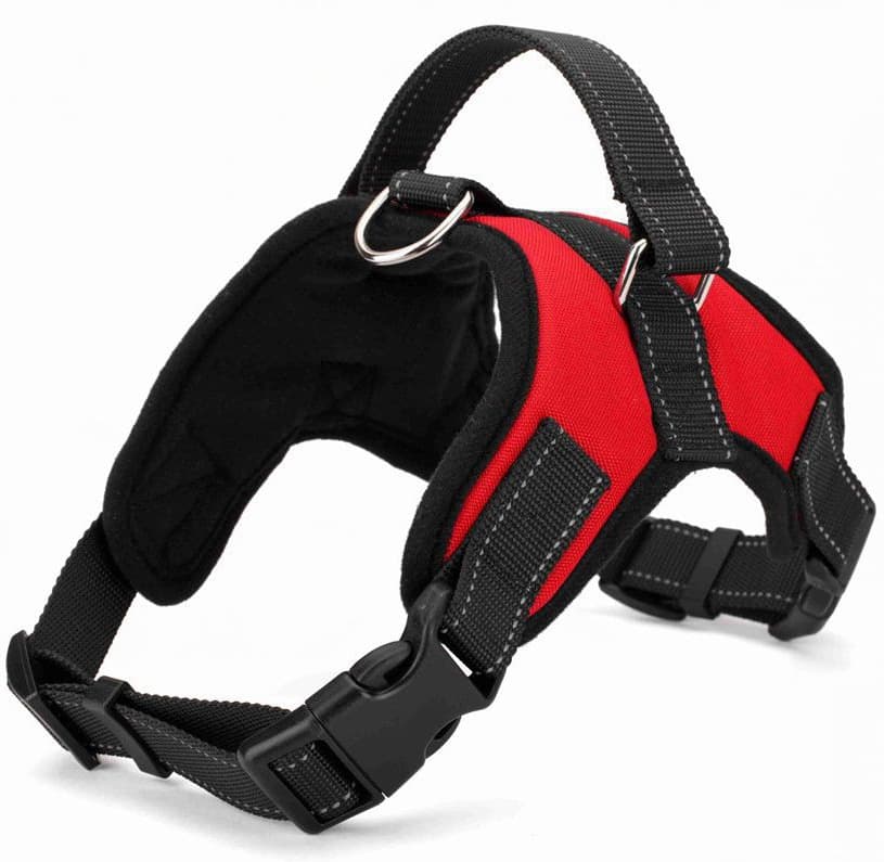 Arnés para perro de tela Oxford resistente
