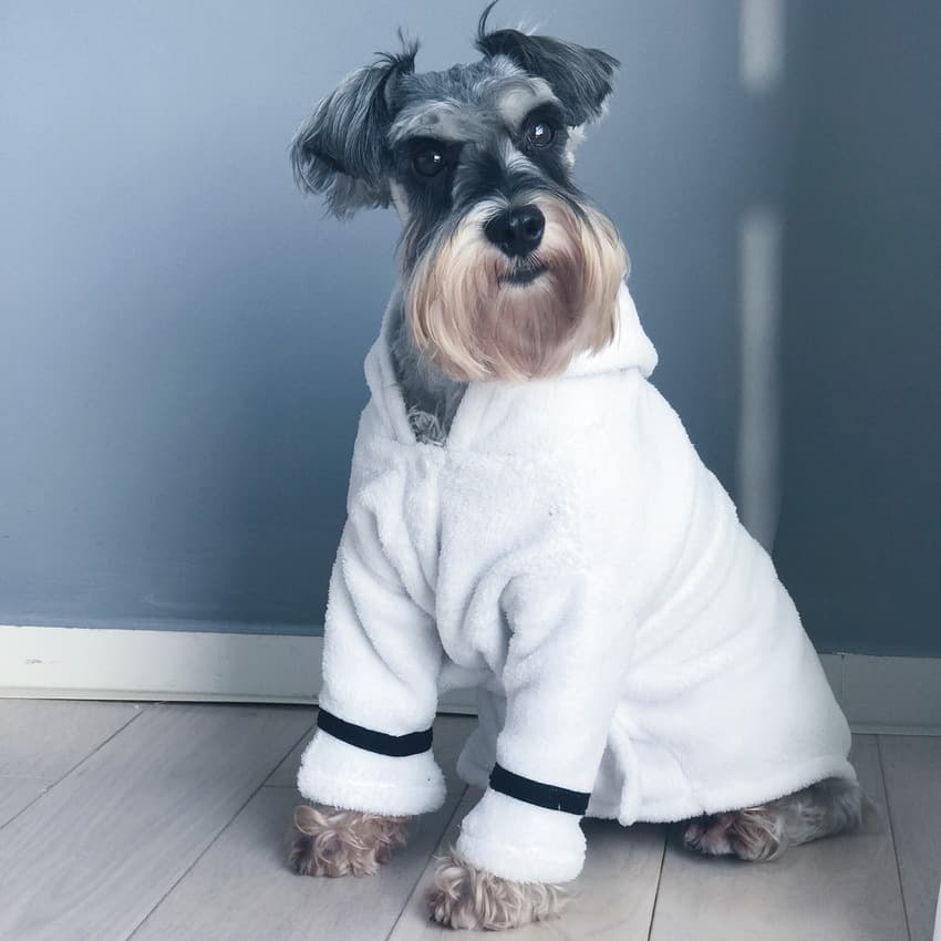 Bata de baño para mascotas