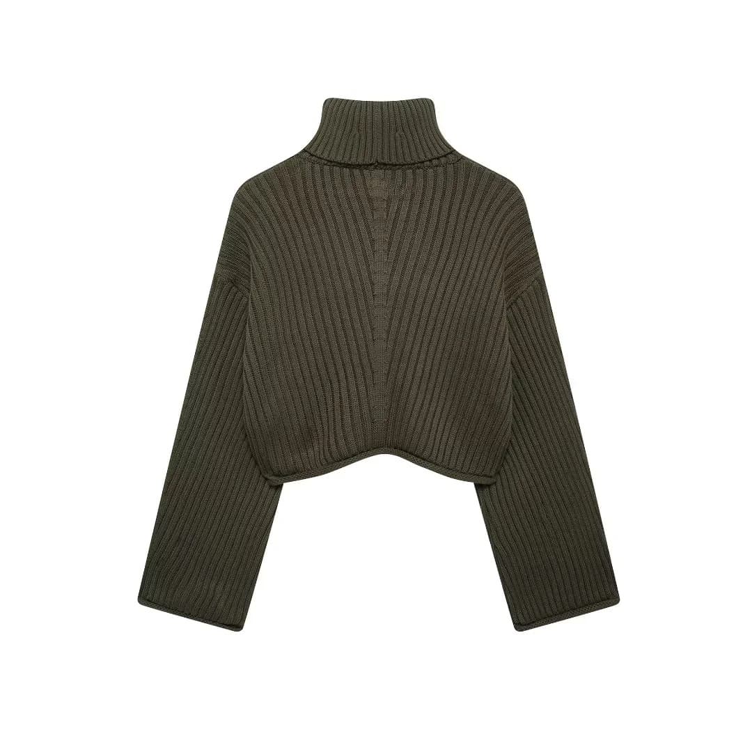 Suéter corto retro de cuello alto con costillas