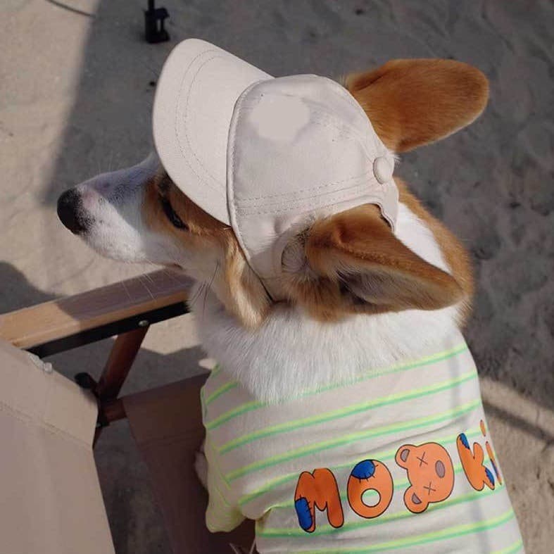 Sombrero ajustable para perros con orejas al aire, protección solar