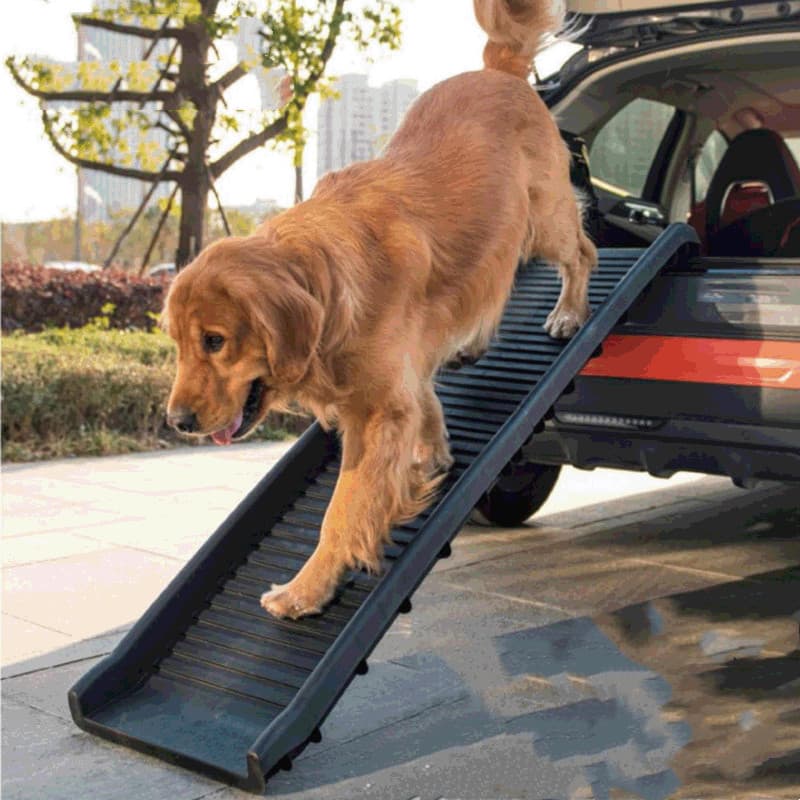 Escalera plegable para mascotas, antideslizante