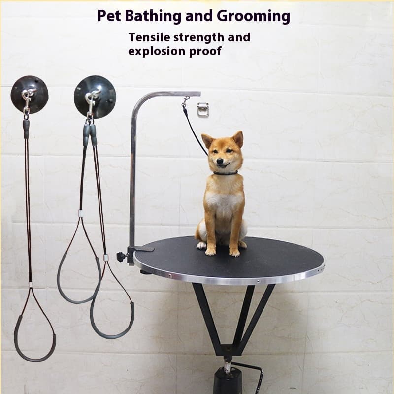 Correa de baño para mascotas con ventosa