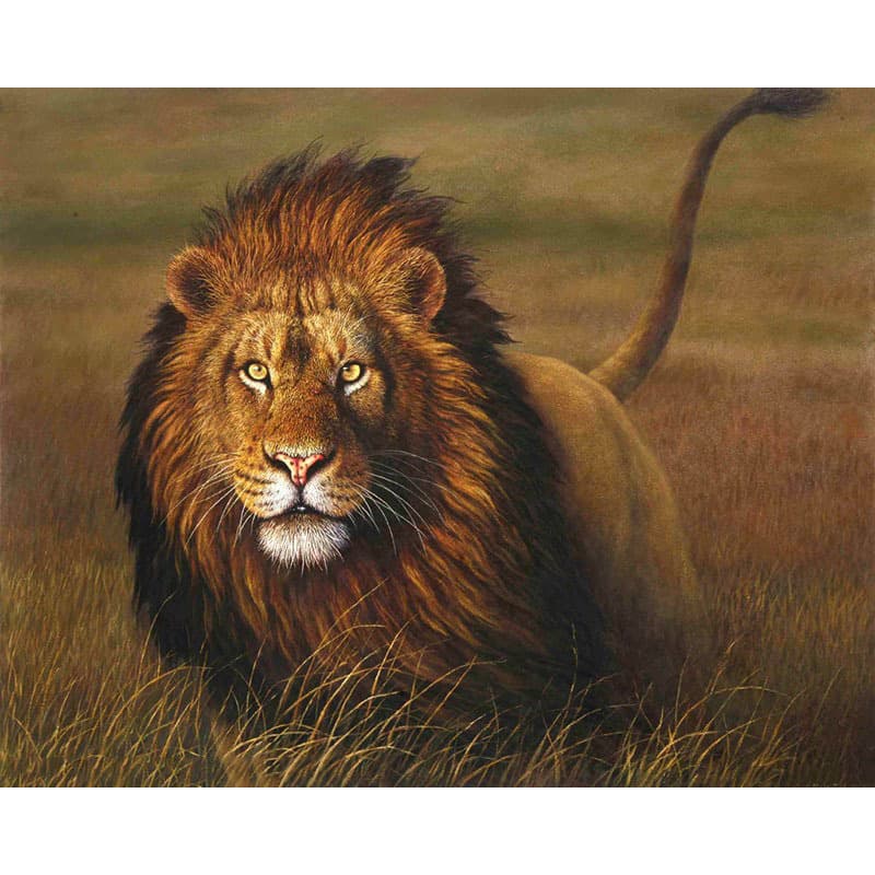 Pintura óleo digital león sin marco 40x50 cm